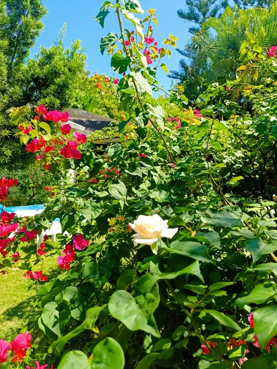 Vibrant Tropical Garden